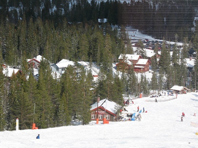 Et snedækket skisportssted i Wagrain byder på en række skiløbere nær en hyggelig træhytte. Snedækkede træer og adskillige bjælkehytter ligger i baggrunden, ledsaget af en travl parkeringsplads fyldt med biler, alt sammen sat i en skovklædt kulisse, der minder om vinterens skirejsedrømme.