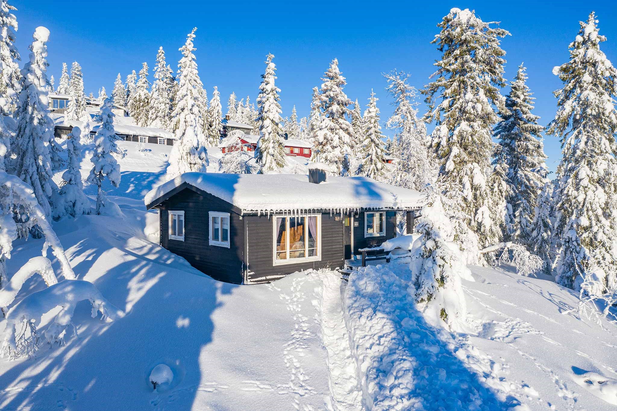 En hyggelig hytte i Saalbach er omgivet af snedækkede træer og bakker under en klar blå himmel. Hyttens tag, dækket af sne, har istapper hængende fra tagskægget. En smal sti gennem sneen fører til indgangen, hvilket gør det til et perfekt tilflugtssted for skirejseentusiaster.