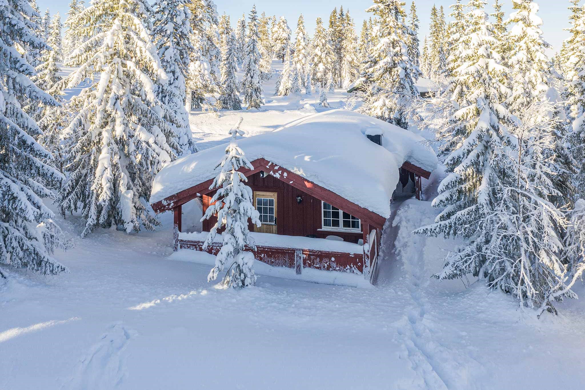 En hyggelig træhytte beliggende i Westendorfs sneklædte skov. Taget og de omkringliggende fyrretræer er stærkt dækket af sne, hvilket skaber en malerisk vinterscene. Sollys kaster bløde skygger på den uberørte sne og forstærker den fredfyldte atmosfære perfekt til en skiferie-flugt.