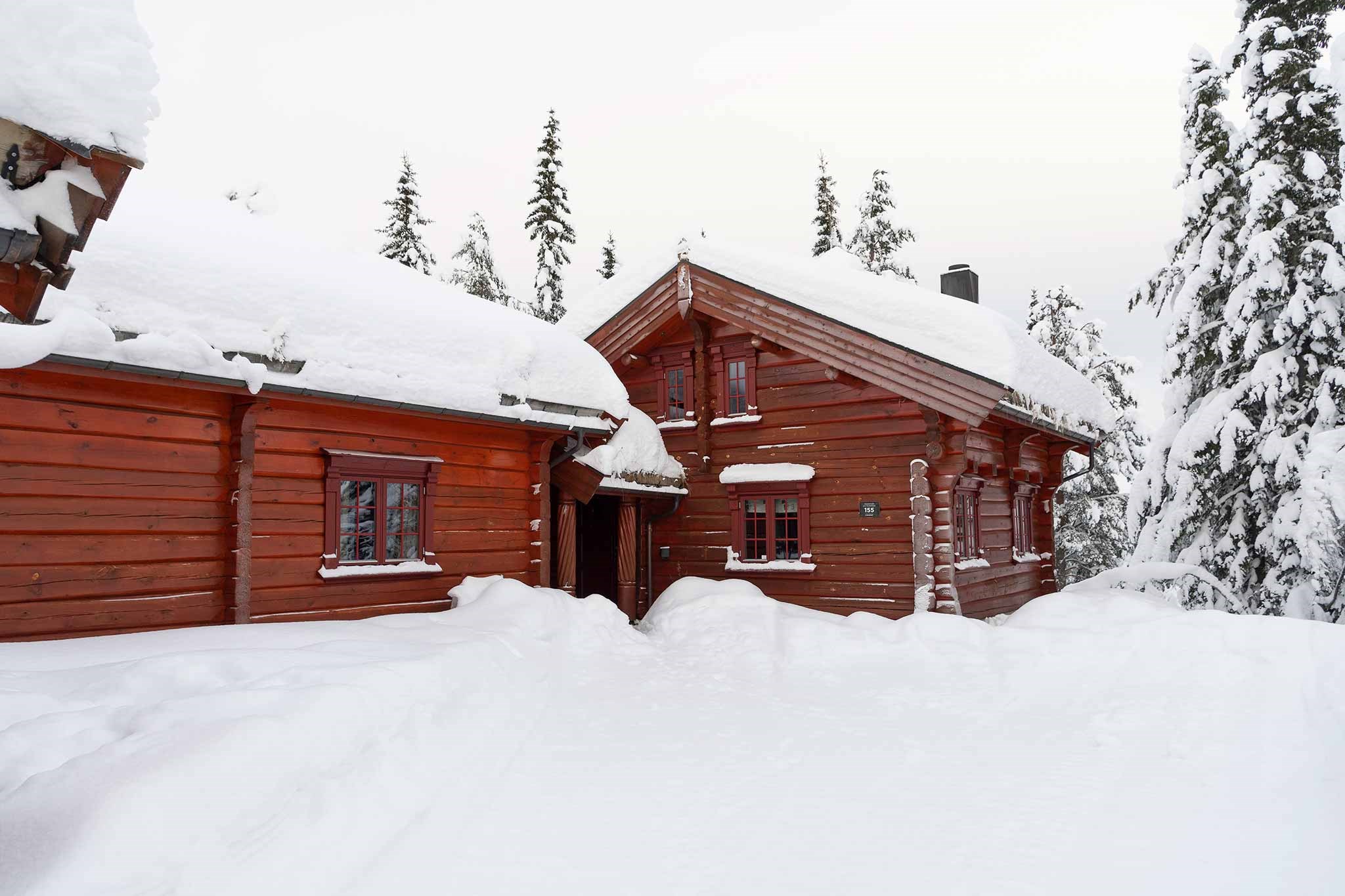 En hyggelig træhytte i Wagrain, dækket af sne og omgivet af snefyldte træer. Himlen er overskyet, hvilket bidrager til den vinterlige atmosfære af en perfekt skiferie. Scenen er fredfyldt og fredelig med et dybt lag sne, der dækker jorden.