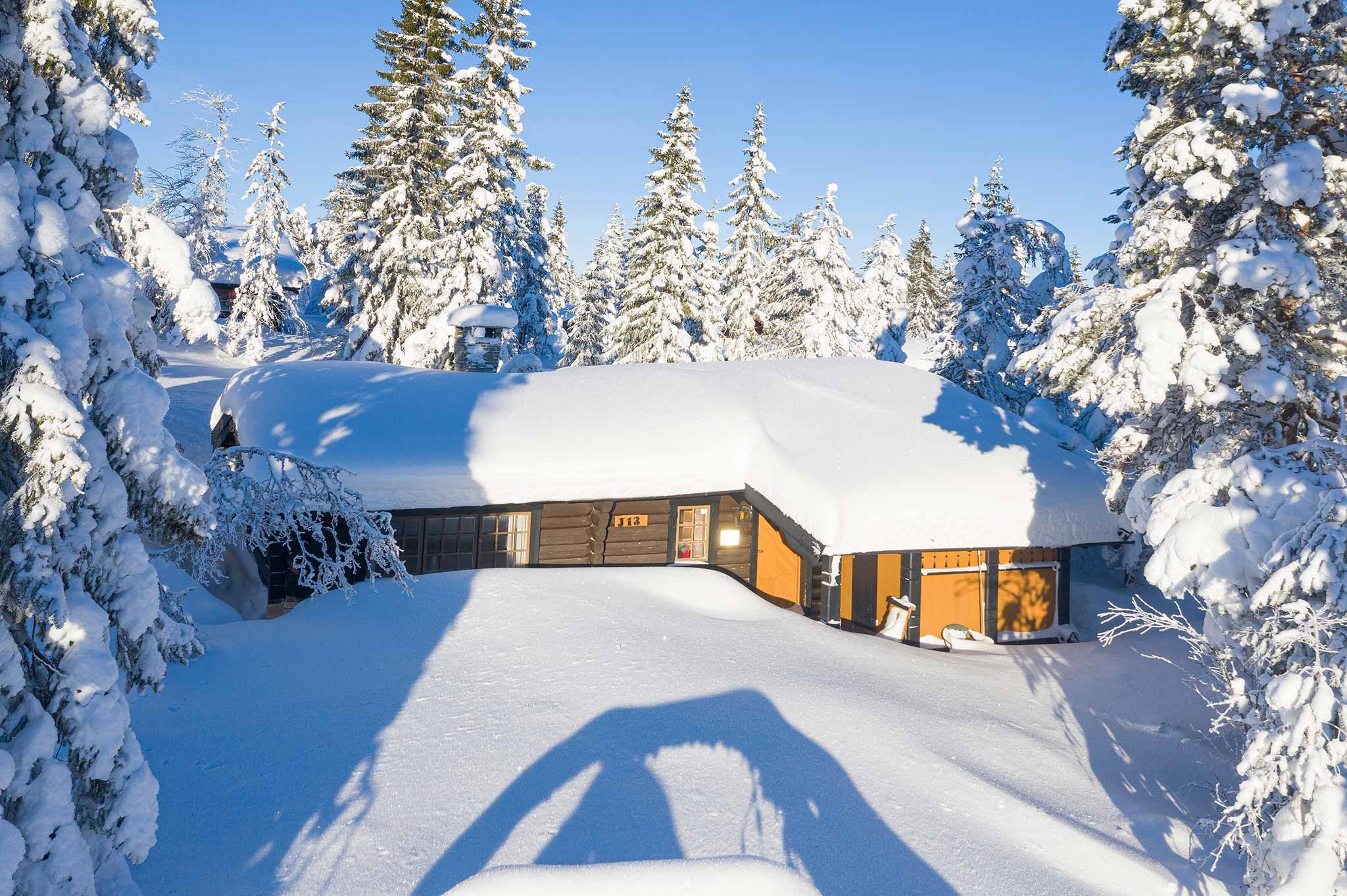 En snedækket hytte omgivet af snefyldte fyrretræer i et vinterlandskab, der minder om en fredfyldt ferie i Westendorf. Træet udvendigt er dækket af sne på taget og de omkringliggende grunde, alt sammen under en klar blå himmel. Perfekt til uforglemmelige skirejseøjeblikke.