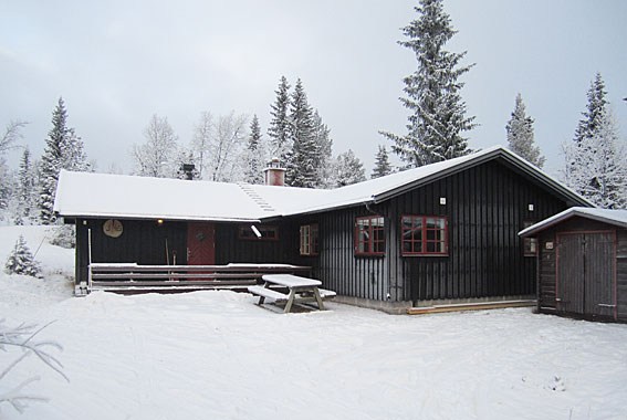 En hyggelig træhytte i Westendorf er omgivet af snedækkede træer. Det mørke ydre står i kontrast til den hvide sne på taget og jorden. Udenfor sidder en træbænk og et bord og inviterer gæsterne til at slappe af, mens den overskyede himmel fremhæver den vinterlige atmosfære, perfekt for skirejseentusiaster.