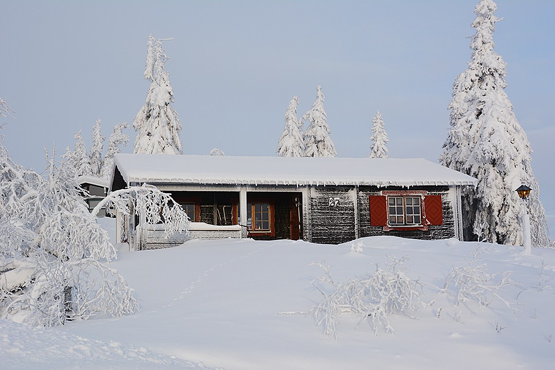 En hyggelig træhytte med røde skodder ligger beliggende i et snelandskab i Wagrain, omgivet af snefyldte træer. Himlen er klar og antyder den perfekte skiferie, mens et spor af fodspor fører til hytten, hvilket antyder nylige besøgende.