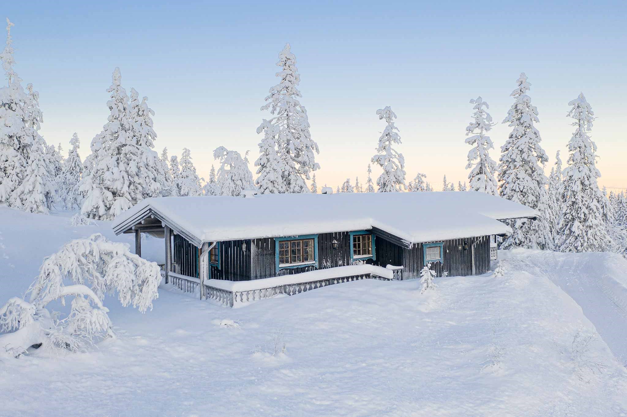 En hyggelig hytte dækket af sne står midt i Wagrains fredfyldte landskab. Høje, snefyldte træer omgiver hytten, og himlen er en bleg, rolig blå, hvilket tyder på en rolig vinterdag perfekt til et skiferieeventyr.
