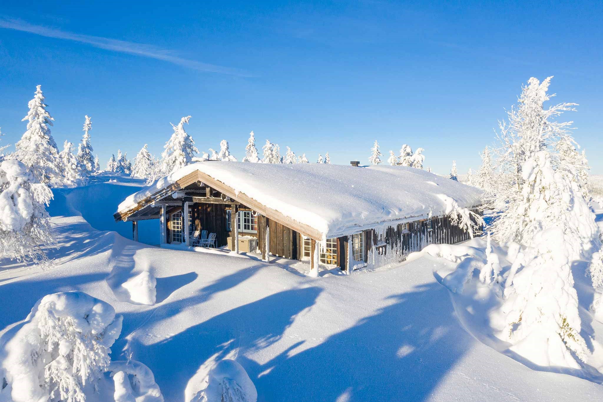 En træhytte ligger i et snelandskab under en klar blå himmel, der minder om Saalbach i vintermånederne. Snedækkede træer omgiver hytten, og sollys skinner på den uberørte sne.