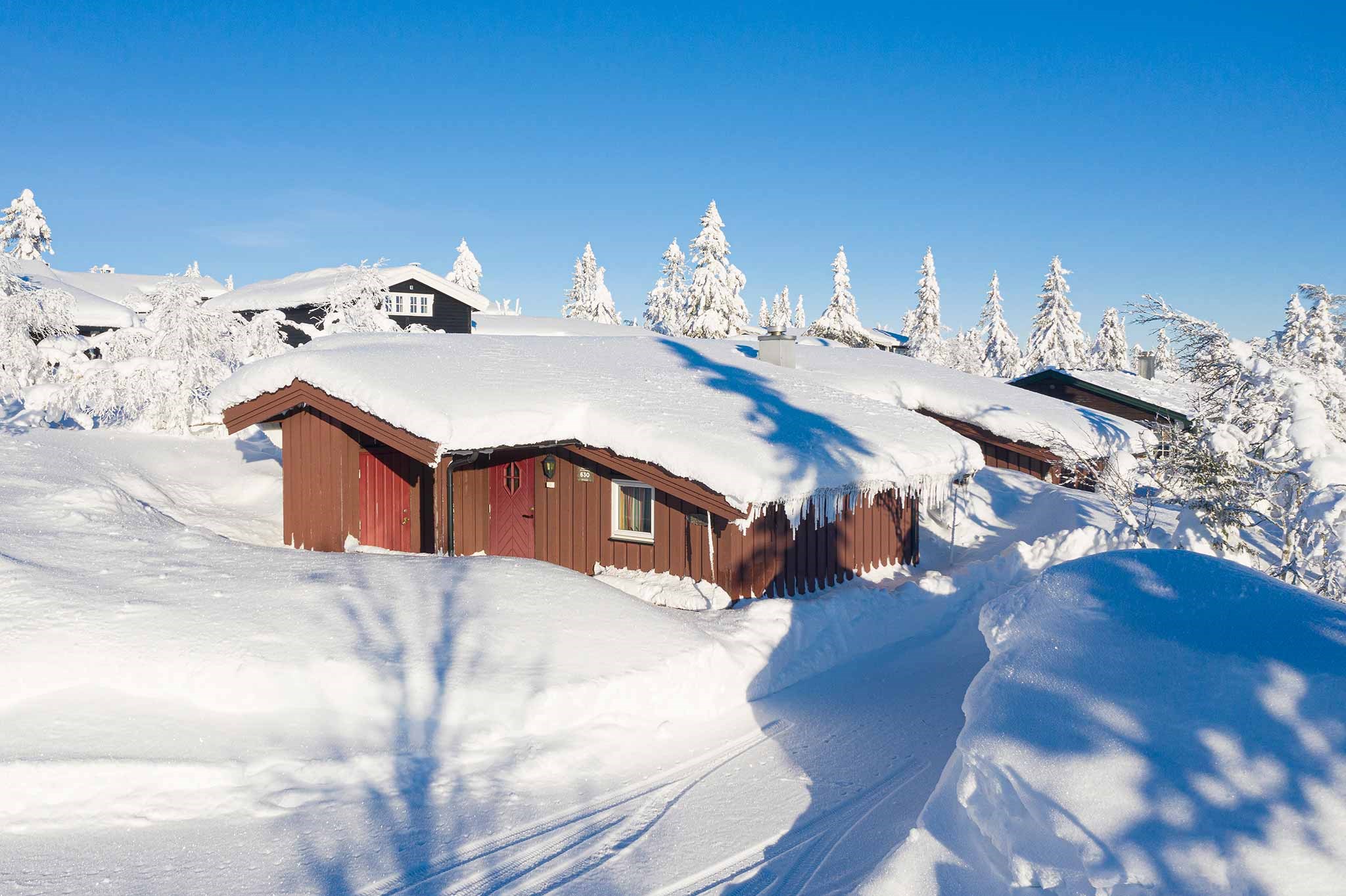 Snedækkede træhytter beliggende i et vinterlandskab nær Saalbach, omgivet af snefyldte træer under en klar blå himmel. Skygger af træer kastes på sneen, hvilket skaber en fredfyldt og malerisk scene, der minder om Westendorfs rolige skønhed.