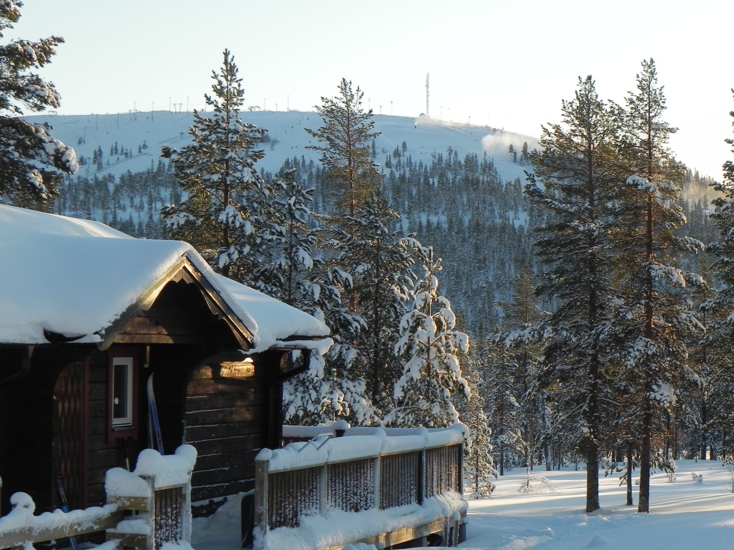En træhytte omgivet af snedækkede træer står i forgrunden, typisk for en skirejser-retreat. I baggrunden rejser en snedækket bakke med spredte træer sig under en klar himmel, der minder om vinterscener i Westendorf. Sollys kaster bløde skygger hen over dette fredfyldte landskab.