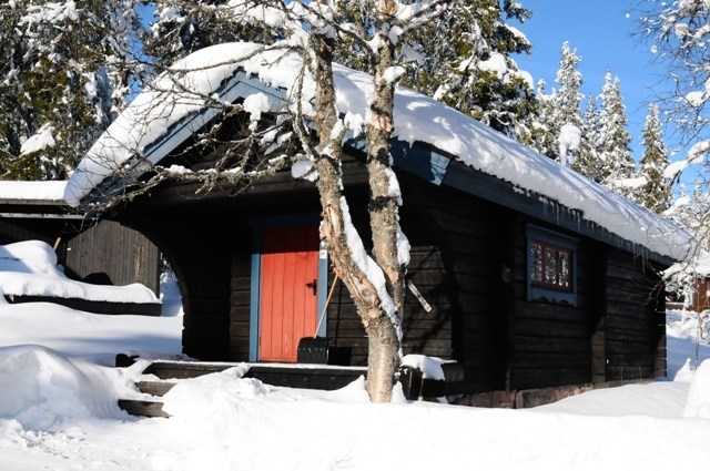 En lille, mørk træhytte med en lys rød dør ligger i et snedækket landskab nær Saalbach. Snefyldte træer omgiver hytten, og taget er dækket af sne. Himlen er klar og blå, hvilket indikerer en solrig vinterdag.