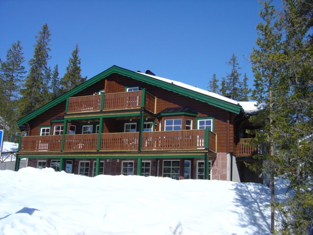 En træhytte med grønne detaljer står midt i et sneklædt Saalbach-landskab, omgivet af stedsegrønne træer under en klar blå himmel. Perfekt til skirejser eller sommerferie Østrig, hytten har flere altaner og store vinduer.