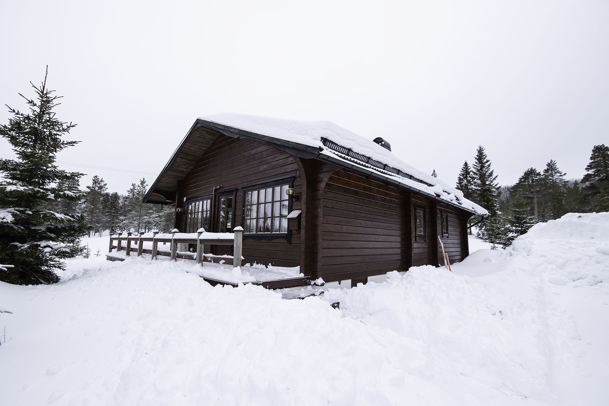En træhytte i Saalbach ligger midt i dyb sne, omgivet af stedsegrønne planter. Den overskyede himmel forstærker den fredfyldte vinterstemning, hvilket gør det til et perfekt tilflugtssted for skirejseentusiaster.