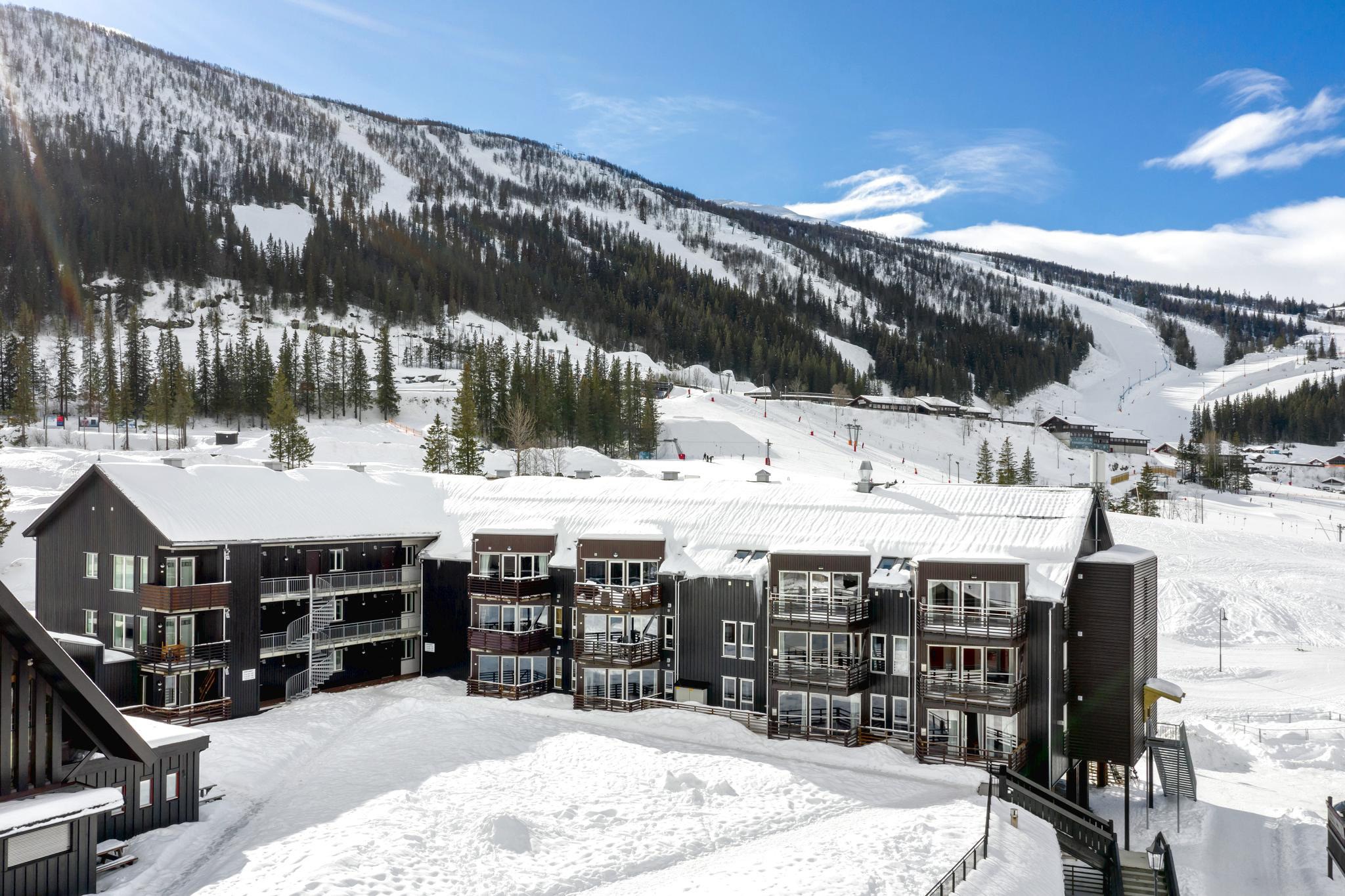 Beliggende i bunden af et bjergrigt landskab, det snedækkede skisportssted i Wagrain kan prale af moderne bygninger. Skråningen, spækket med træer og skiløjper under en klar blå himmel, lover en uforglemmelig skiferieoplevelse.